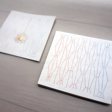 方形便箋組 — 帶半透明封面 -  輕柔色調(set 6)