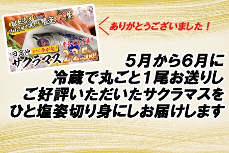 ＜数量限定＞  北海道産 サクラマス ひと塩 姿切り身 2kg ～ 3kg まるごと 1尾