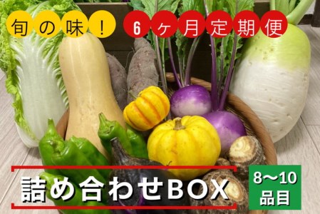 旬の味！お野菜 詰め合わせBOX 8～10品目×6回（栽培期間中 農薬・化学肥料不使用） 京都 亀岡 京野菜 農家より直送