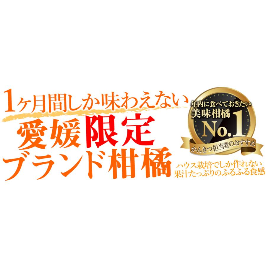 みかん 5kg 愛媛産 紅まどんな ご家庭用 柑橘 蜜柑 送料無料 食品