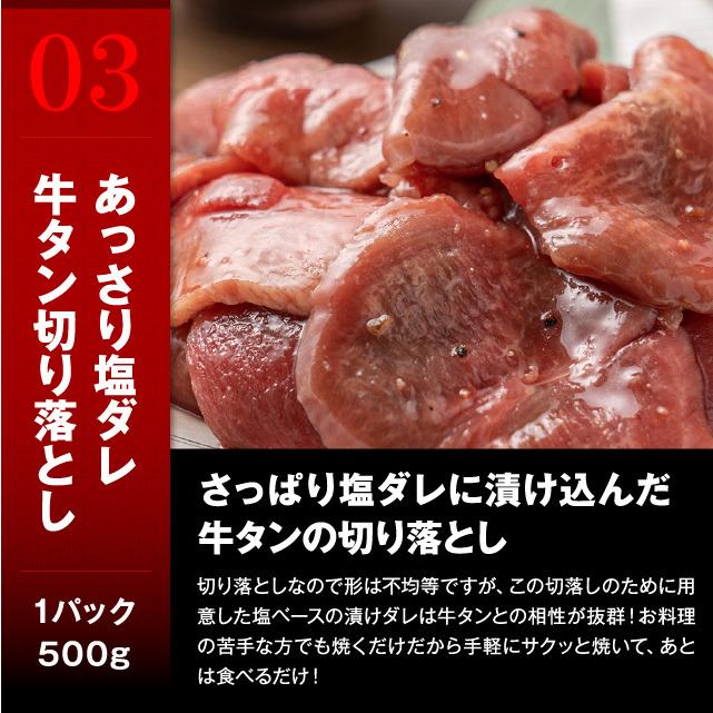 肉 焼肉 三昧セット 計2.5kg 肉福袋 bbq 冷凍 食品 牛ヒレひとくち500g キングカルビ500g 訳あり牛タン切落し500g 焼肉用豚バラ肉500g 牛ホルモン500g