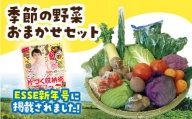 49.旬の野菜おまかせセット