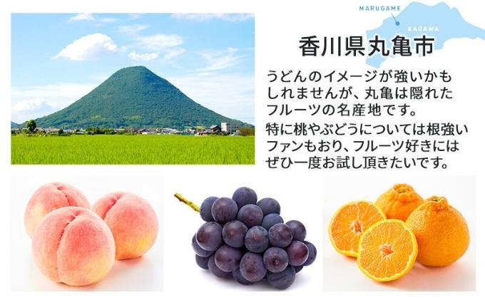 旬のフルーツ定期便！丸亀讃果　計12回定期便　シャインマスカット 桃 ピオーネ いちご みかん さぬきひめ 詰合せ 詰め合わせ 定期配送 今が旬 の厳選果実