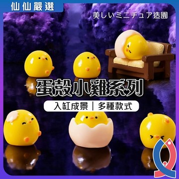 蛋殼小雞 可愛小鴨子 小黃雞 小雞 魚缸 造景 桌上擺飾 可愛鴨子 黃色小鴨 可愛鴨子 鴨鴨
