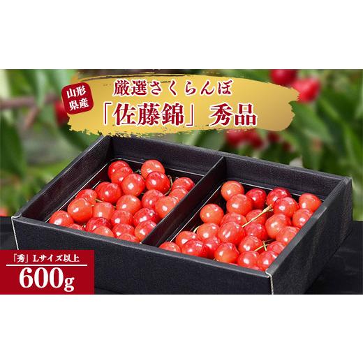 ふるさと納税 山形県 寒河江市 令和6年産 さくらんぼ「 佐藤錦 」600g (300g×2パック) 秀品 Lサイズ以上 2024年産 山形県産 山形産 【2024年6月中旬頃〜下旬…