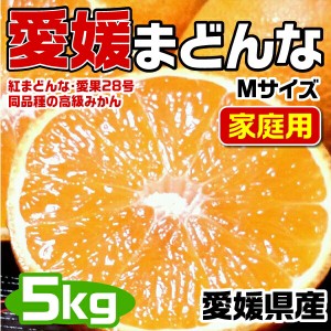 愛媛まどんな (紅まどんな同品種) Mサイズ 5kg JAの正規品(あいか  愛果28号) ご家庭用 バラ詰 高糖度・JA選果【愛媛県産…