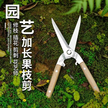 購滿99出貨 限時免運 強力花枝剪枝園藝剪子修枝剪省力修剪樹枝果樹枝園林花卉花藝剪子