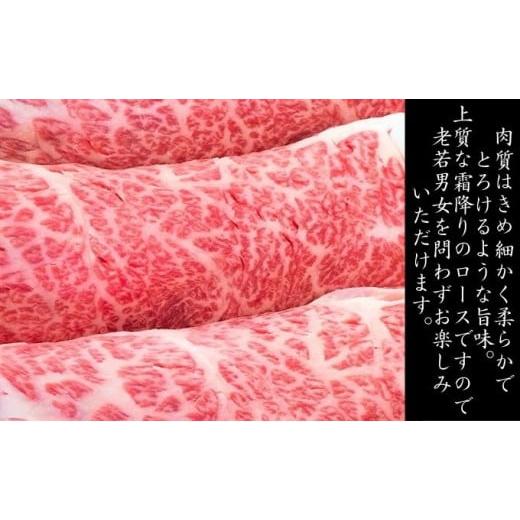 ふるさと納税 兵庫県 赤穂市 牛肉 兵庫県産 黒毛和牛 すき焼き ロース 500g[ お肉 しゃぶしゃぶ 霜降り