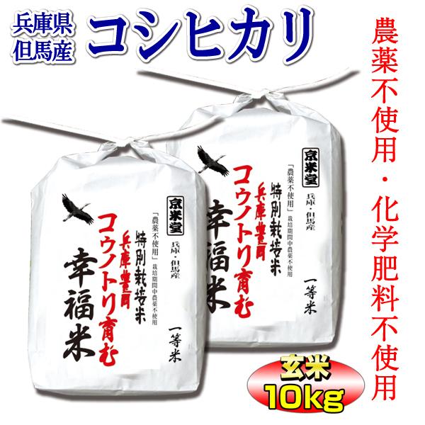 新米 お米 10kg 玄米 コシヒカリ 農薬不使用 特別栽培米 5kg×2 兵庫県 但馬産 コウノトリ育む幸福米 一等米 送料無料 令和5年産