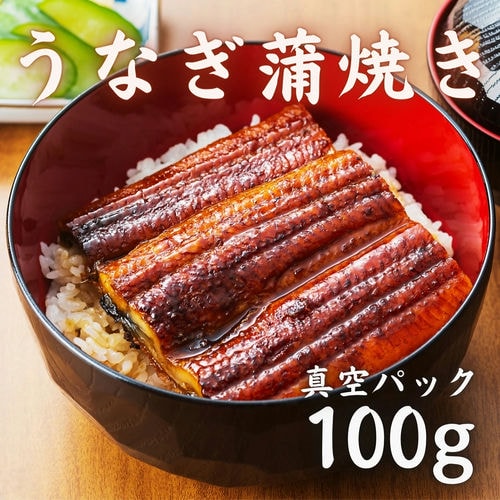 うなぎ蒲焼き 真空パック 100g