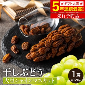 送料無料 1房丸ごと Jinfarm 大皇シャインマスカット 干しぶどう 120g 期間限定 配送日指定不可   スイーツ ドライフルーツ レーズン 高