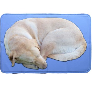 寵物涼墊90*60cm-寵物睡墊 消暑寵物冰涼墊  涼感墊