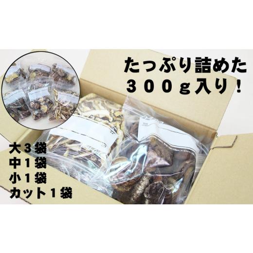 ふるさと納税 佐賀県 小城市 俺の作った原木乾燥しいたけ（サイズ大・中・小・カット）300g 椎茸