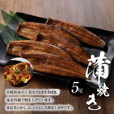 ふるさと納税 木城町 宮崎県産うなぎ(蒲焼き)5尾セット