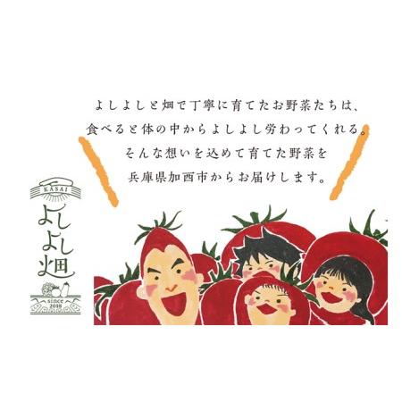 ふるさと納税 よしよし畑のあま〜い トマト 中玉トマト 800g〜1kg程度 兵庫県加西市