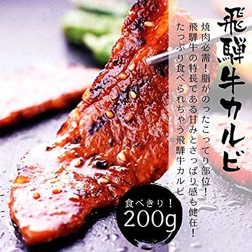  飛騨牛 ＆ 国産 豚肉 バーベキューセット 1kg 4〜5人分 牛肉 牛カルビ 牛もも・かた 豚肉 豚バラ 豚ロース セット BBQ