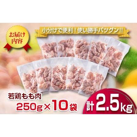 ふるさと納税 小分けで便利 カット済 若鶏 もも肉 計2.5kg 250g×10袋 肉 鶏 鶏肉 国産 おかず 食品 お肉 チキン 送料無料_B219-23 宮崎県日南市