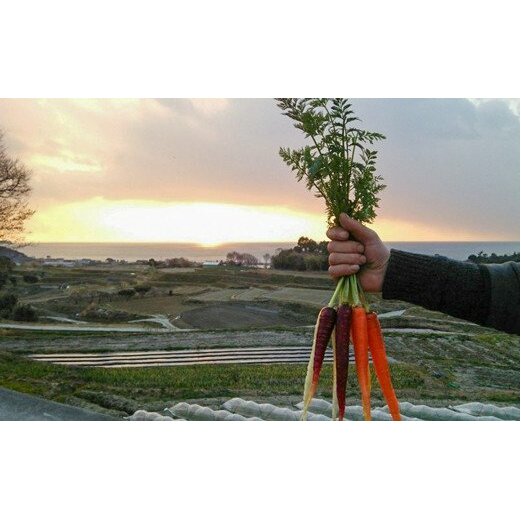 フレッシュグループ淡路島彩り野菜と香るハーブセット