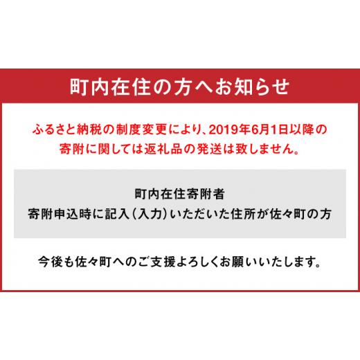 ふるさと納税 長崎県 佐々町 ミニトマト アイコ 1.0kg [QBG001]