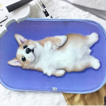 家用入戶地墊進門水洗絨動物地墊臥室吸水3d貓咪狗狗地墊玄關卡通