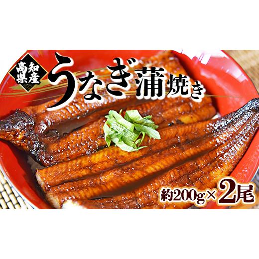 ふるさと納税 高知県 香南市 フジ物産 国産養殖うなぎ蒲焼き 約200g×2尾(高知県産鰻) 鰻 ウナギ かばやき 土用の丑の日 スタミナ 朝食 夕飯 有頭 おつまみ …