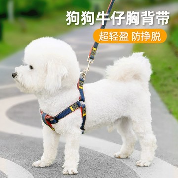 狗狗牽引繩脖圈小中大型幼犬寵物泰迪博美比熊金毛胸揹帶遛狗鏈子