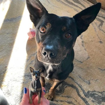 【客製化3D寵物紀念公仔】訂製手作似顏繪肖像狗狗貓咪毛小孩娃娃