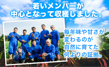 熊本県 大津町産 あまべに姫 (紅はるか) 約5kg ガブレス《60日以内に順次出荷(土日祝除く)》さつまいも 芋 紫芋 高糖度