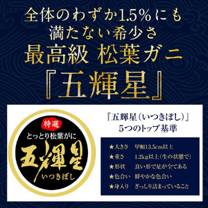 鳥取ブランド　松葉ガニ『五輝星』 ※2023年11月頃～2024年3月頃に順次発送予定 ※着日指定不可