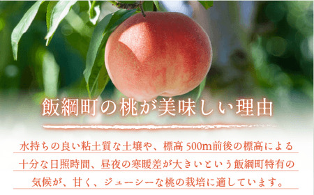 桃 5kg 先行予約 2024年 グルメ 《品種おまかせ「 白鳳 」「 あかつき 」「 なつっこ 」いずれか1品種》 光センサー選別品  配送先は本州限定 2024年8月上旬頃から2024年8月下旬頃まで順次発送予定 日時指定不可 令和6年度出荷分 長野県 飯綱町 [0057]