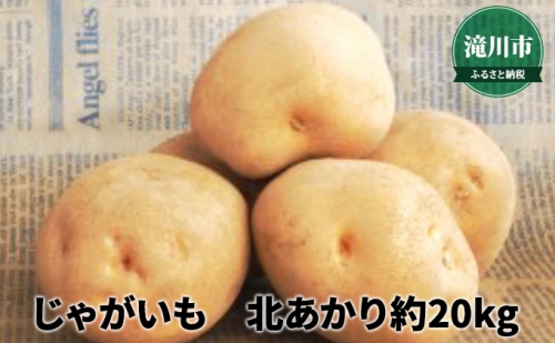 北海道産 じゃがいも北あかり 約20kg＜2023年9月下旬～順次出荷＞｜北海道 滝川市 北アカリ 北あかり キタアカリ きたあかり じゃがいも 野菜 2023年発送 令和5年発送 やさい ジャガイモ