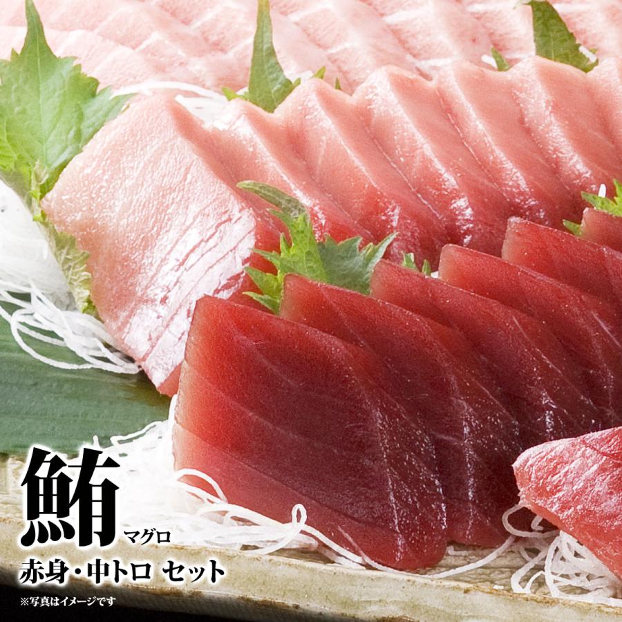 産地直送 お取り寄せグルメ ギフト 天然南 まぐろ 赤身 ＆ 中トロ 刺身 セット 魚介 食品 送料無料