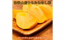 和歌山秋の味覚　平核無柿（ひらたねなしがき）約7.5kg  ※2024年10月上旬〜10月下旬頃に順次発送予定