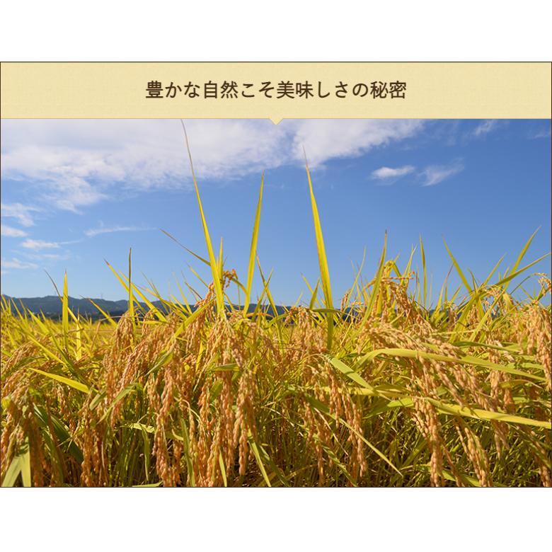 特別栽培米（減農薬・減化学肥料）魚沼産コシヒカリ「米屋五郎兵衛」精米2kg  JA十日町 米屋五郎兵衛 送料無料