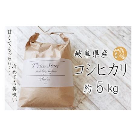 ふるさと納税 T rice Store 岐阜県産コシヒカリ（玄米） 約5kg 岐阜県垂井町