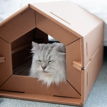 thehill 樂丘｜CARTON好厝-入厝組合- 樂丘大郡 (含專用貓抓板)