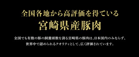 ※令和6年2月より順次発送※宮崎県産 豚肉３種 詰め合わせセット 1.4kg