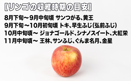 旬の家庭用リンゴ詰め合わせ 約10kg糖度13度以上