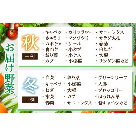 ふるさと納税 農家直送 旬の野菜セット 7品目以上 1箱 ／ 定期便 12回 季節 野菜 ボックス BOX セット セレクト 農家 お.. 福井県あわら市