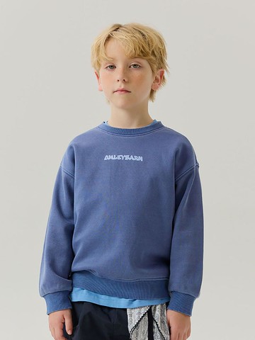 Vintage Mix Wash Sweatshirt