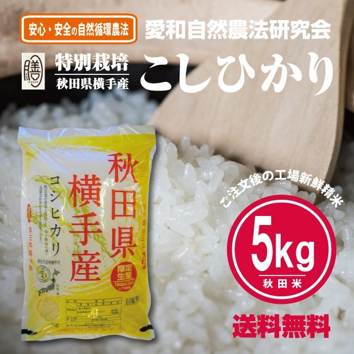 令和5年産 秋田 コシヒカリ 白米 精米済 5kg 愛和自然農法研究会 減農薬 減化学肥料 送料無料