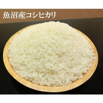 新米 令和5年産 新潟県 魚沼産コシヒカリ 900g 10個セット 検査1等米  景品 賞品 すわげんの省洗米