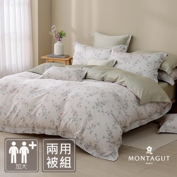 MONTAGUT-60支300織紗萊賽爾纖維-天絲兩用被床包組(白沐花哨-加大)