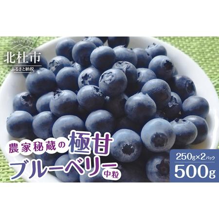 ふるさと納税 7月〜9月発送！農家秘蔵の極甘ブルーベリー　中粒500g（250g×2パック） 山梨県北杜市