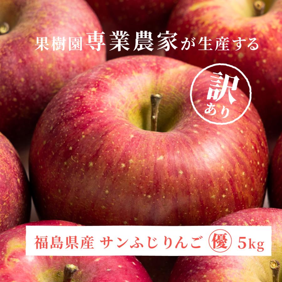 りんご 訳あり サンふじ 優 約5kg 林檎 12〜16玉入りx1箱 リンゴ ふくしまプライド。体感キャンペーン（果物 野菜）