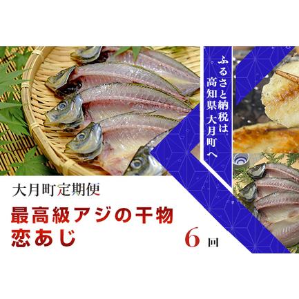 ふるさと納税 土佐大月海産　高級アジの干物　恋あじ 計6回 高知県大月町