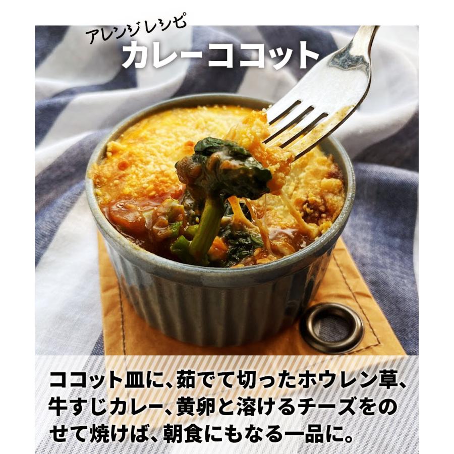 超得クーポン配布中 カレー レトルト 牛すじカレー 3袋 100％国産 牛すじ 中辛 惣菜 非常食 おつまみ 珍味 牛肉 ご飯のお供 贅沢 酒のつまみ  年末年始