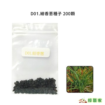 D01.細香蔥種子200顆(蝦夷蔥.香蔥.細蔥.日本進口 .花可拌入料理當香料.葉可切碎提味)蔥類種子【綠藝家】