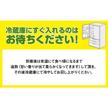 ふるさと納税 南国の果物　沖縄県産マンゴー　赤キンコー　1kg 沖縄県南風原町