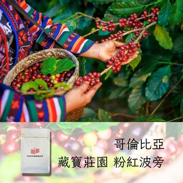 哥倫比亞 藏寶莊園 粉紅波旁 水洗長時間處理 淺焙 (半磅/227g)【柏克斯咖啡】